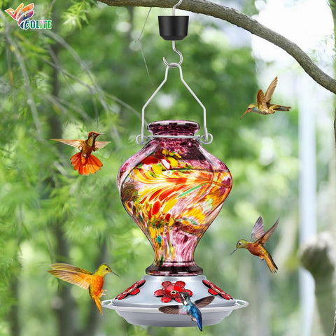 BOLITE comedero en uso con colibrí alimentándose mostrando eficacia del diseño