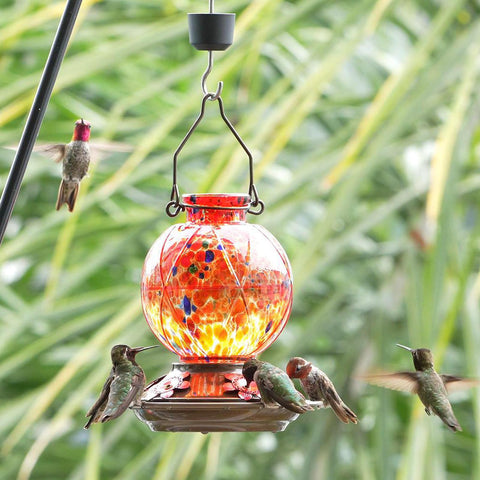 BOLITE bebedero colgado en jardín para observación de aves