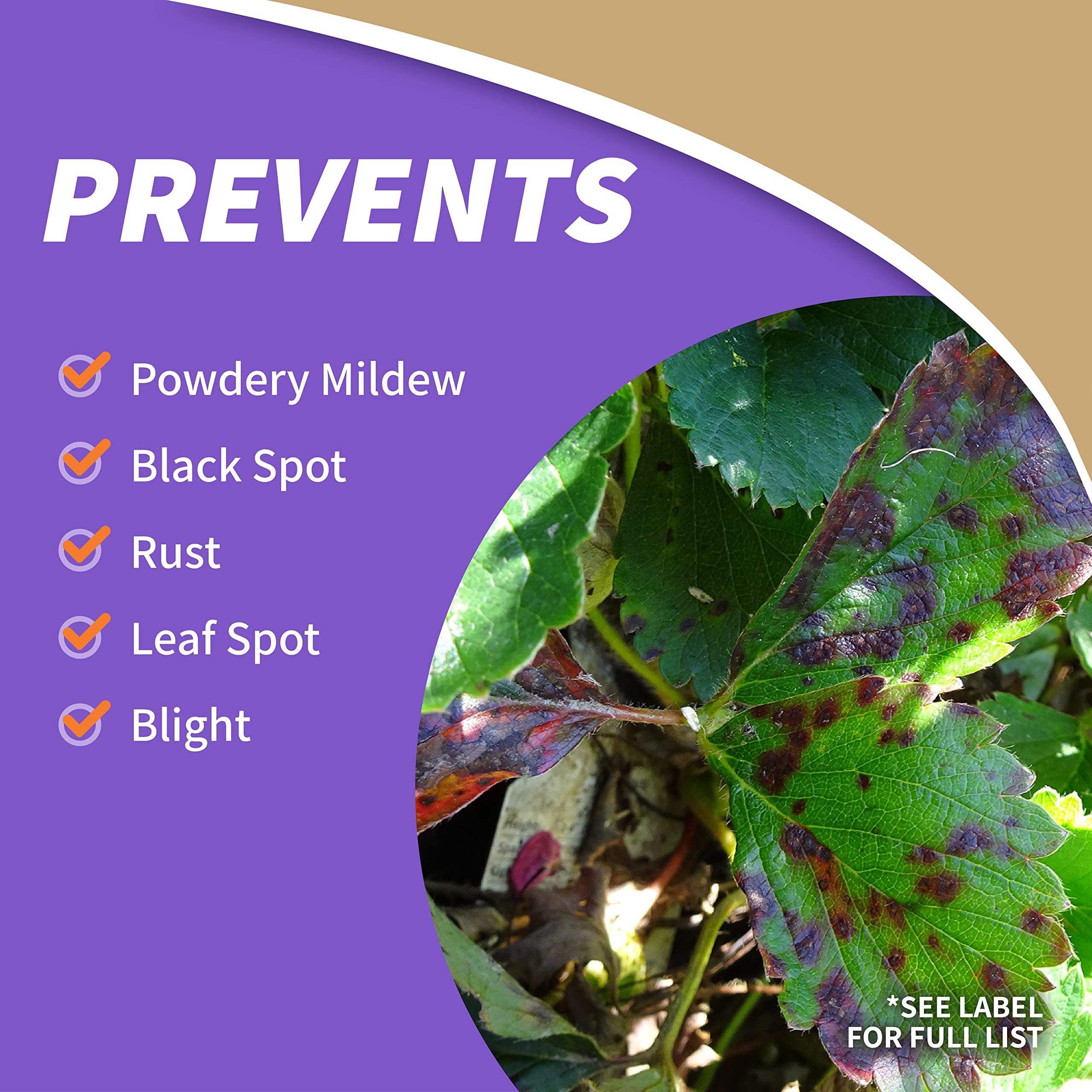 Bonide pulverización en árbol frutal reduciendo hongos y plagas