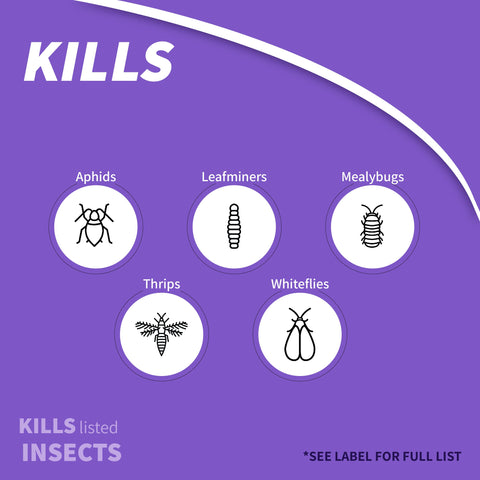 Bonide aplicación del granulado en maceta para control de insectos eficaz