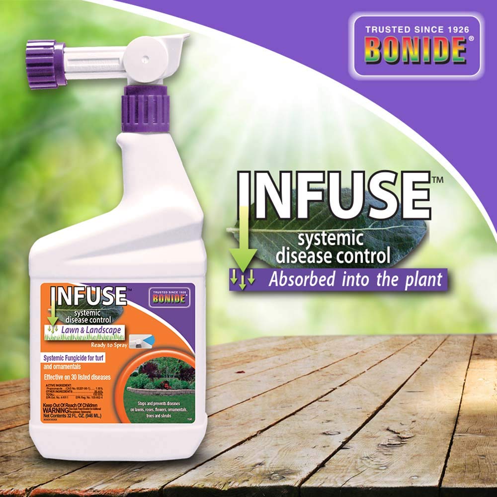 Bonide Infuse rociado en rosales y ornamentales, protección visible