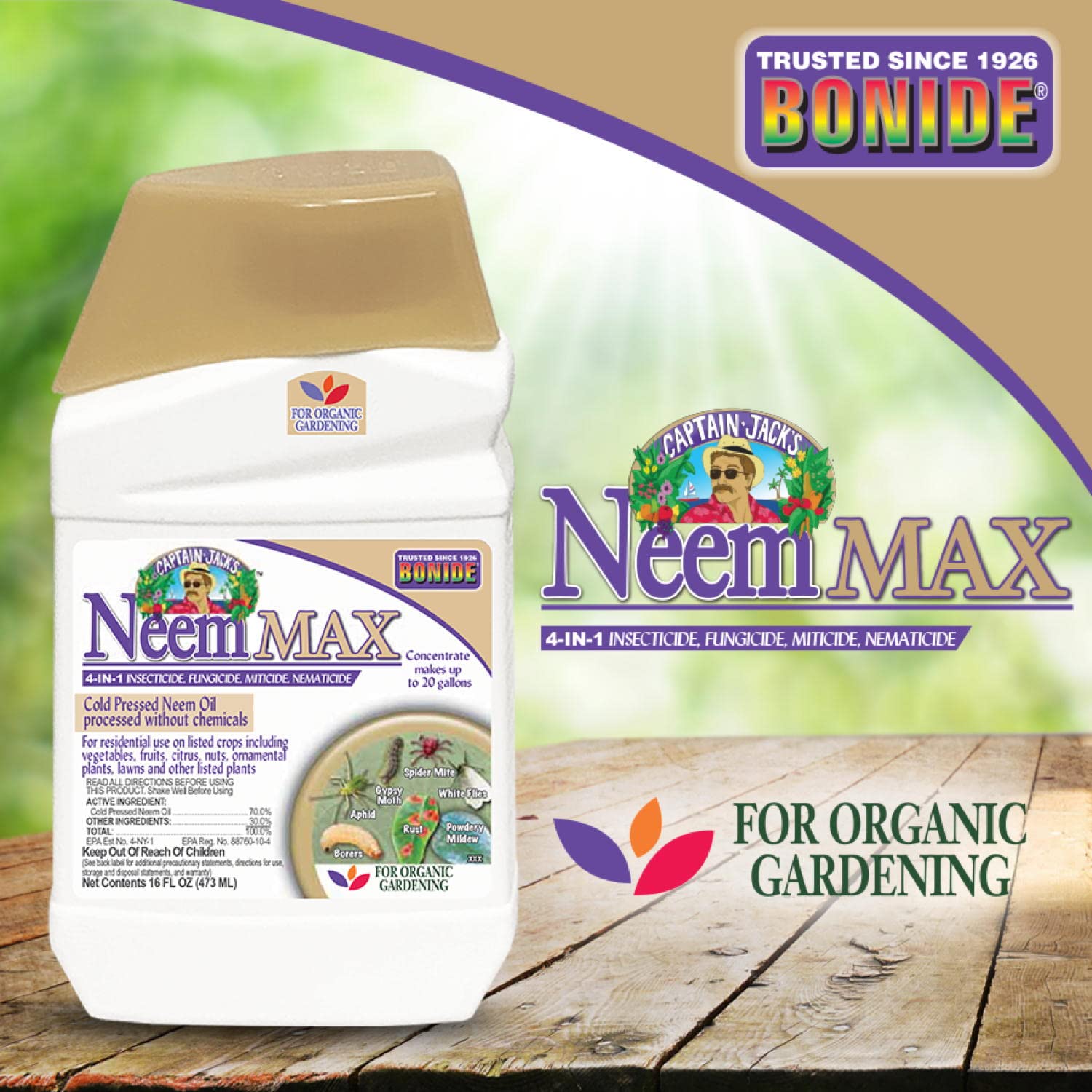 Comparación hojas tratadas con Bonide Neem Max mostrando mejoría en follaje