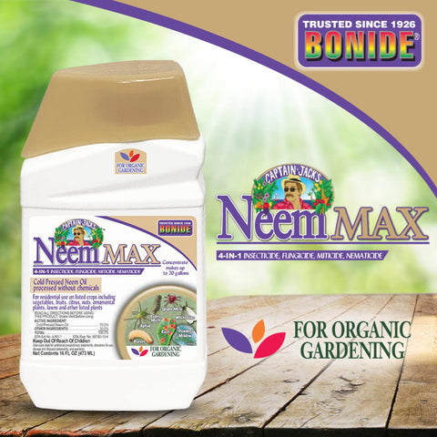 Comparación hojas tratadas con Bonide Neem Max mostrando mejoría en follaje