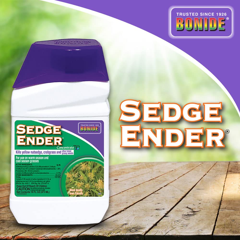 Bonide Sedge Ender resultado antes y después en parche de césped renovado