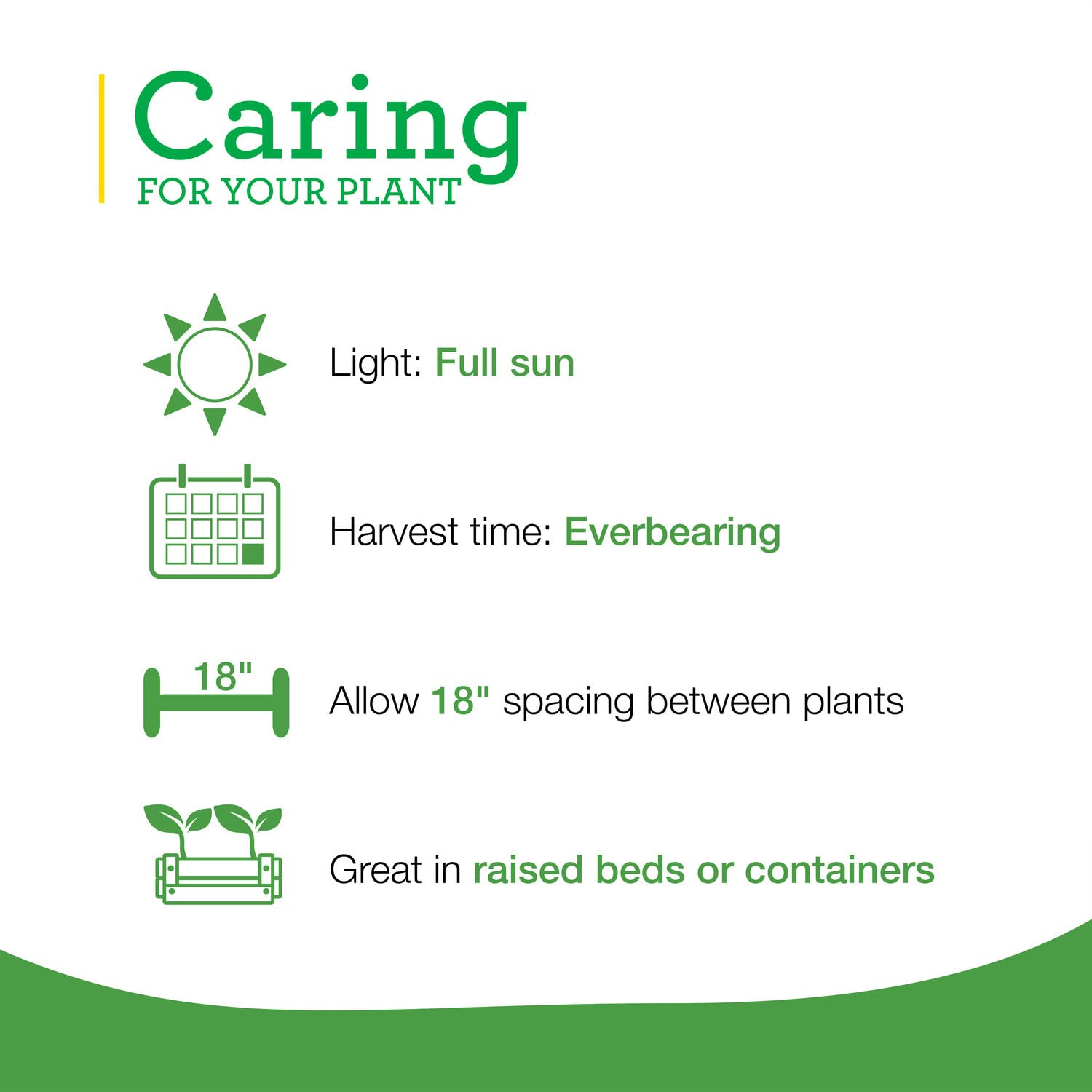 Bonnie Plants comparación de tamaño, muestra altura y escala práctica