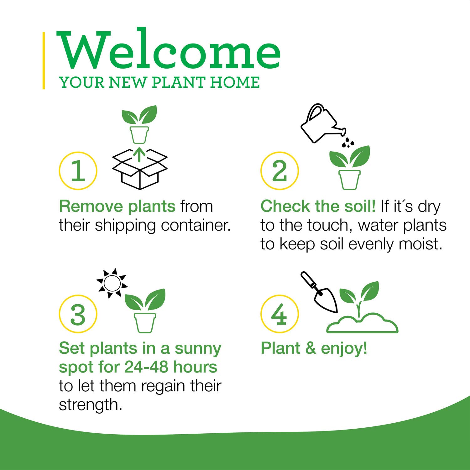 Bonnie Plants embalaje paquete de 4 listo para recibir y plantar