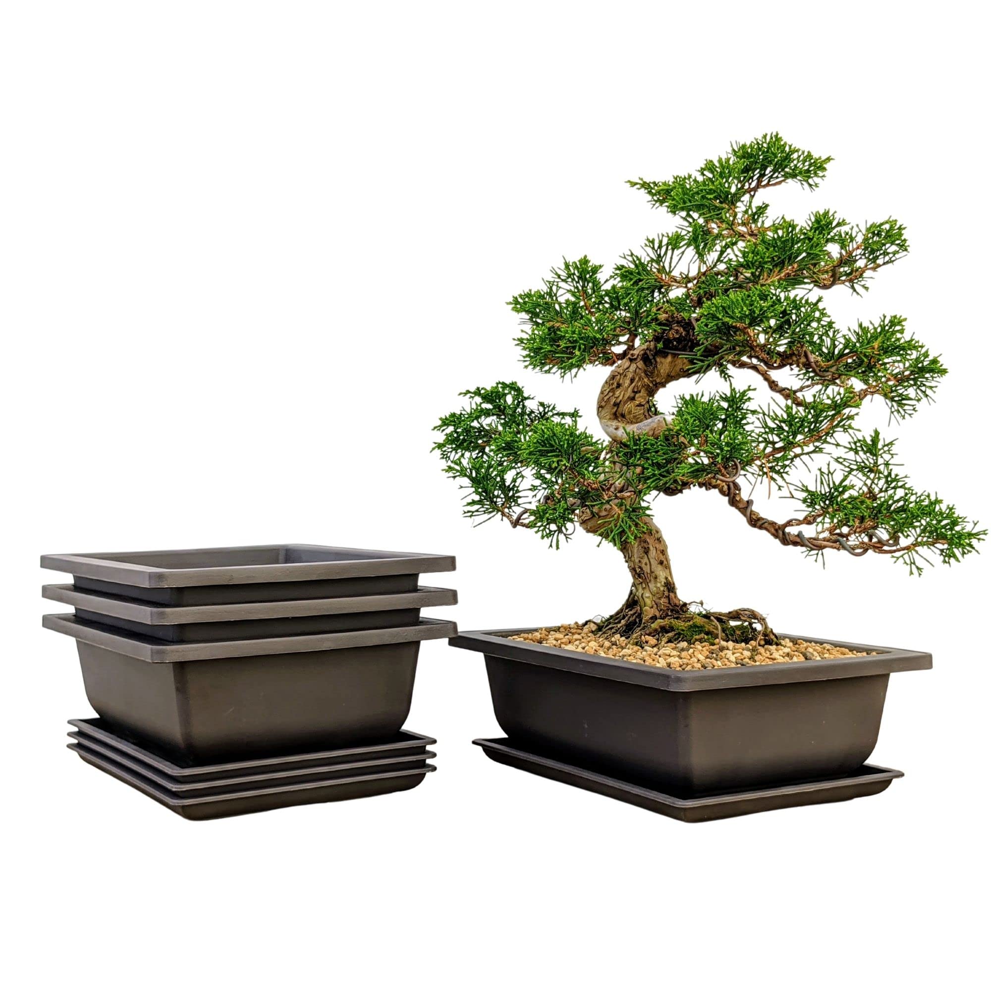 Bonsai Outlet frente del set de 3 macetas marrón, solución duradera
