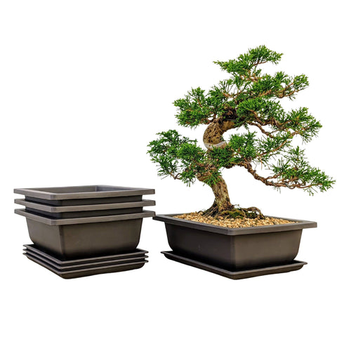 Bonsai Outlet frente del set de 3 macetas marrón, solución duradera