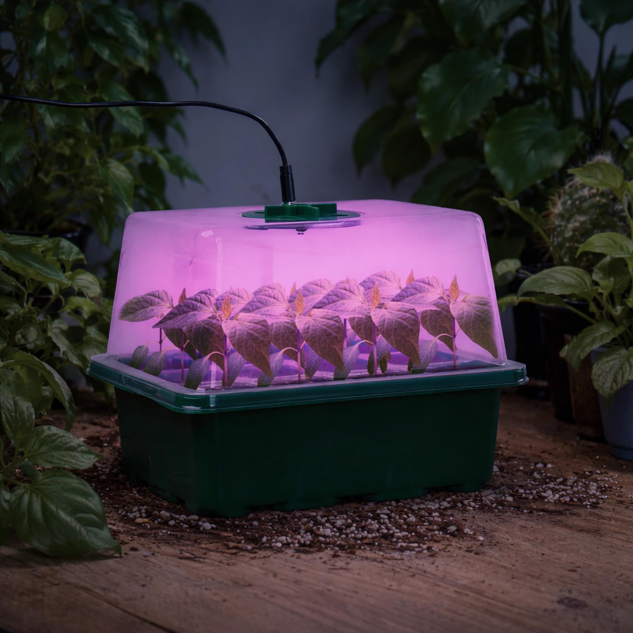 Bonviee escena de balcón con kit que facilita horticultura urbana