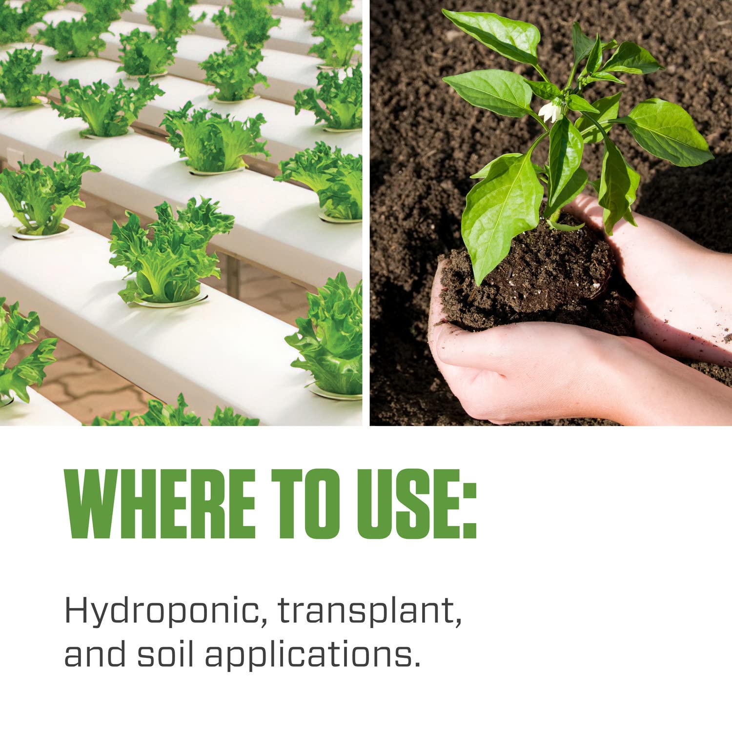 Botanicare Hydroguard en mesa de cultivo con plantas sanas, optimiza crecimiento radicular