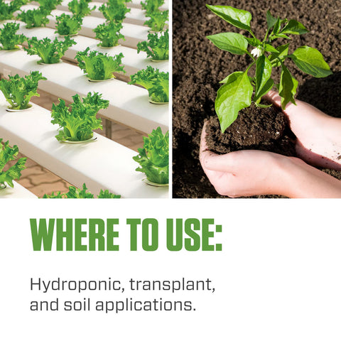 Botanicare Hydroguard en mesa de cultivo con plantas sanas, optimiza crecimiento radicular
