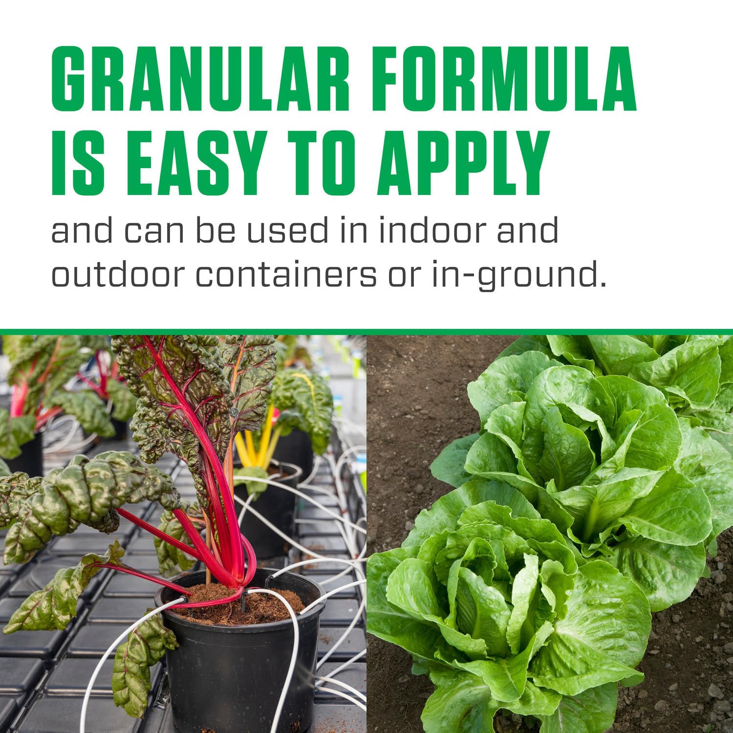 Botanicare Organicare Grow en invernadero usado por productores para alimentación vegetativa eficaz