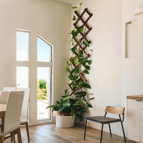 Bounmer celosía usada como decoración interior y calidez