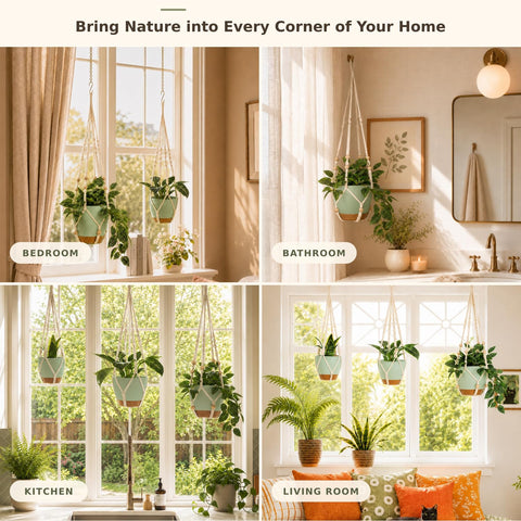 Bouqlife conjunto colgado en balcón optimizando espacio y decoración