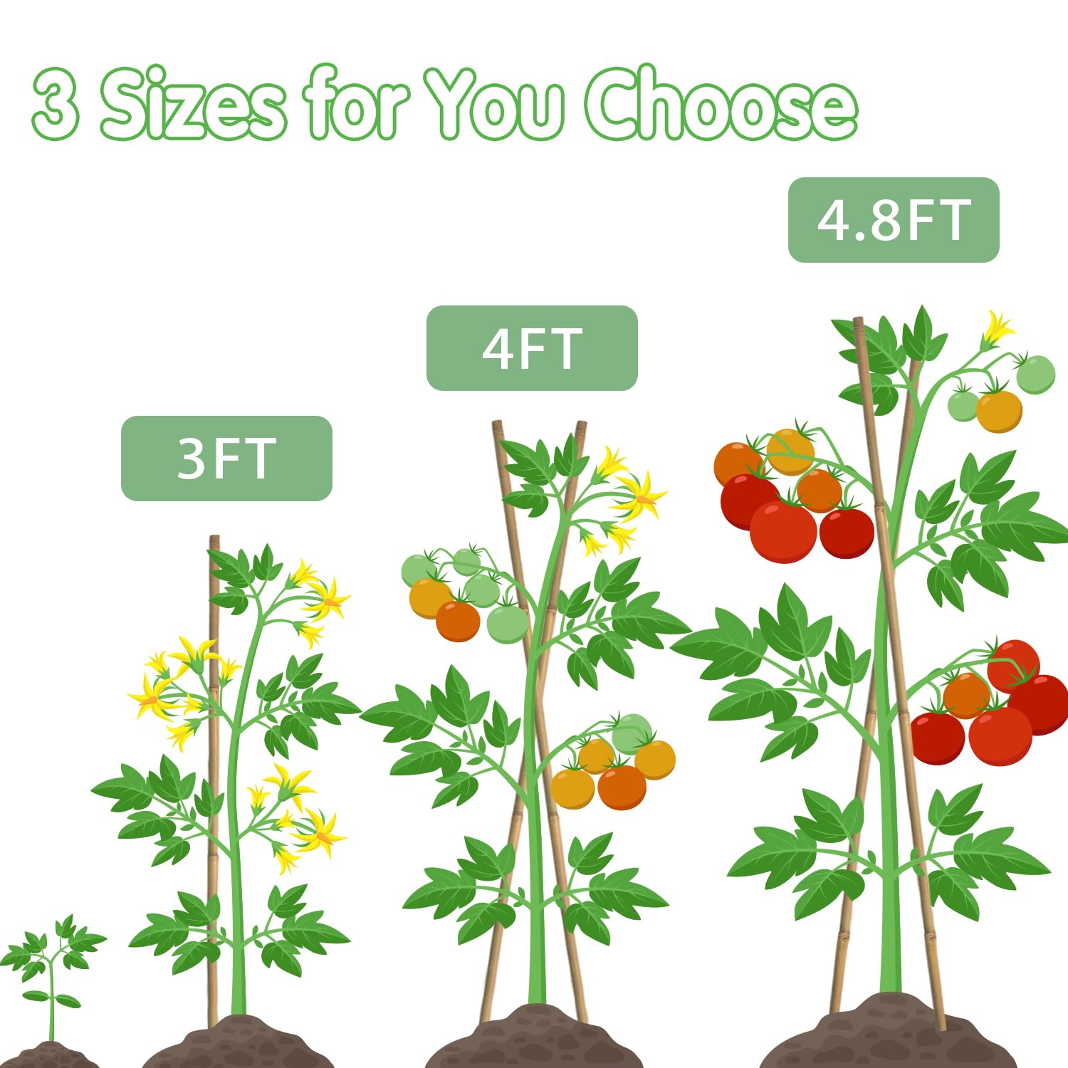 BOVITRO estacas bambú en uso sosteniendo tomates y ramas