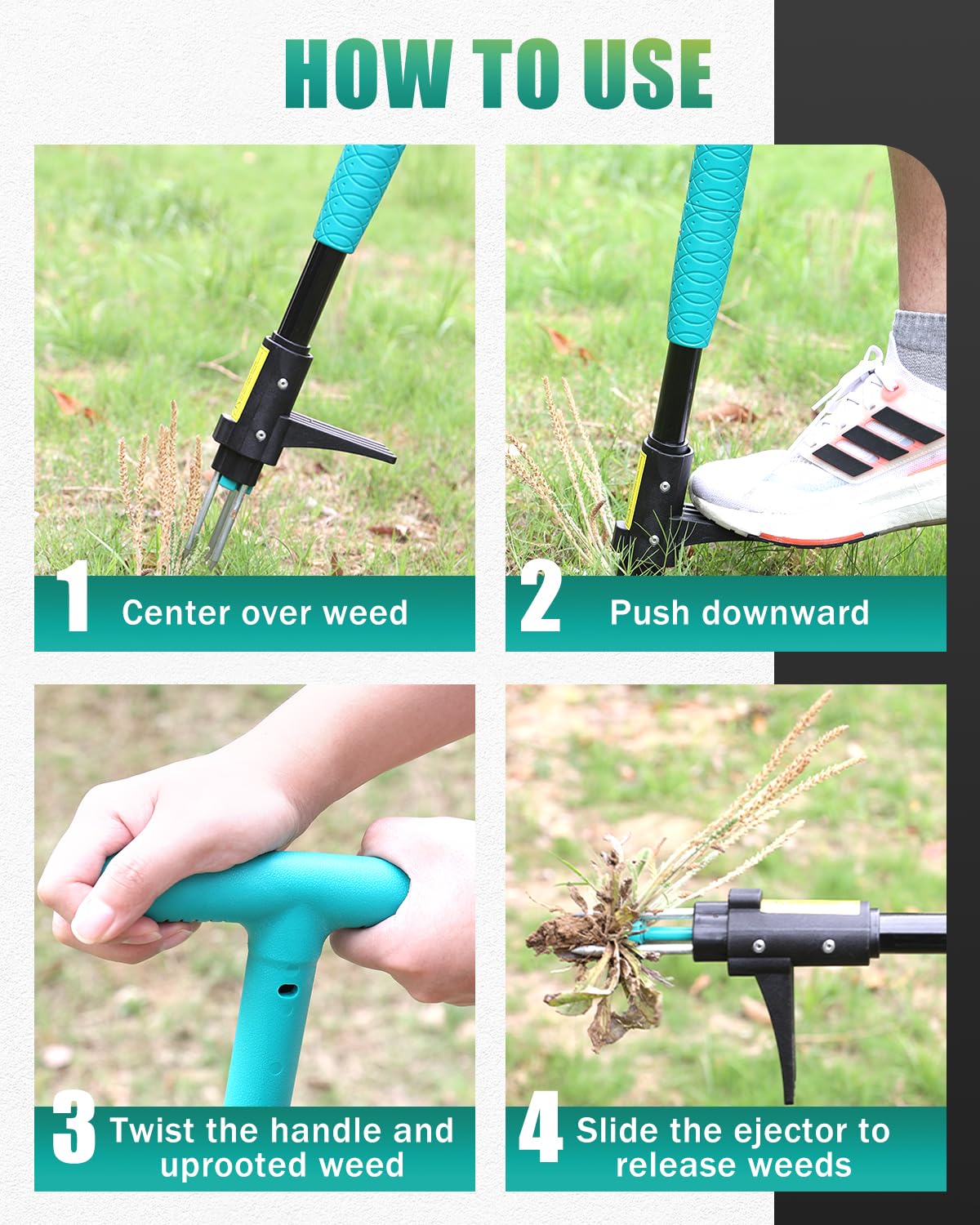 Breeze Touch herramienta en uso sobre césped eliminando dientes de león para un césped más limpio