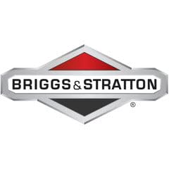 Briggs & Stratton bomba junto a regla beneficio confirmar tamaño