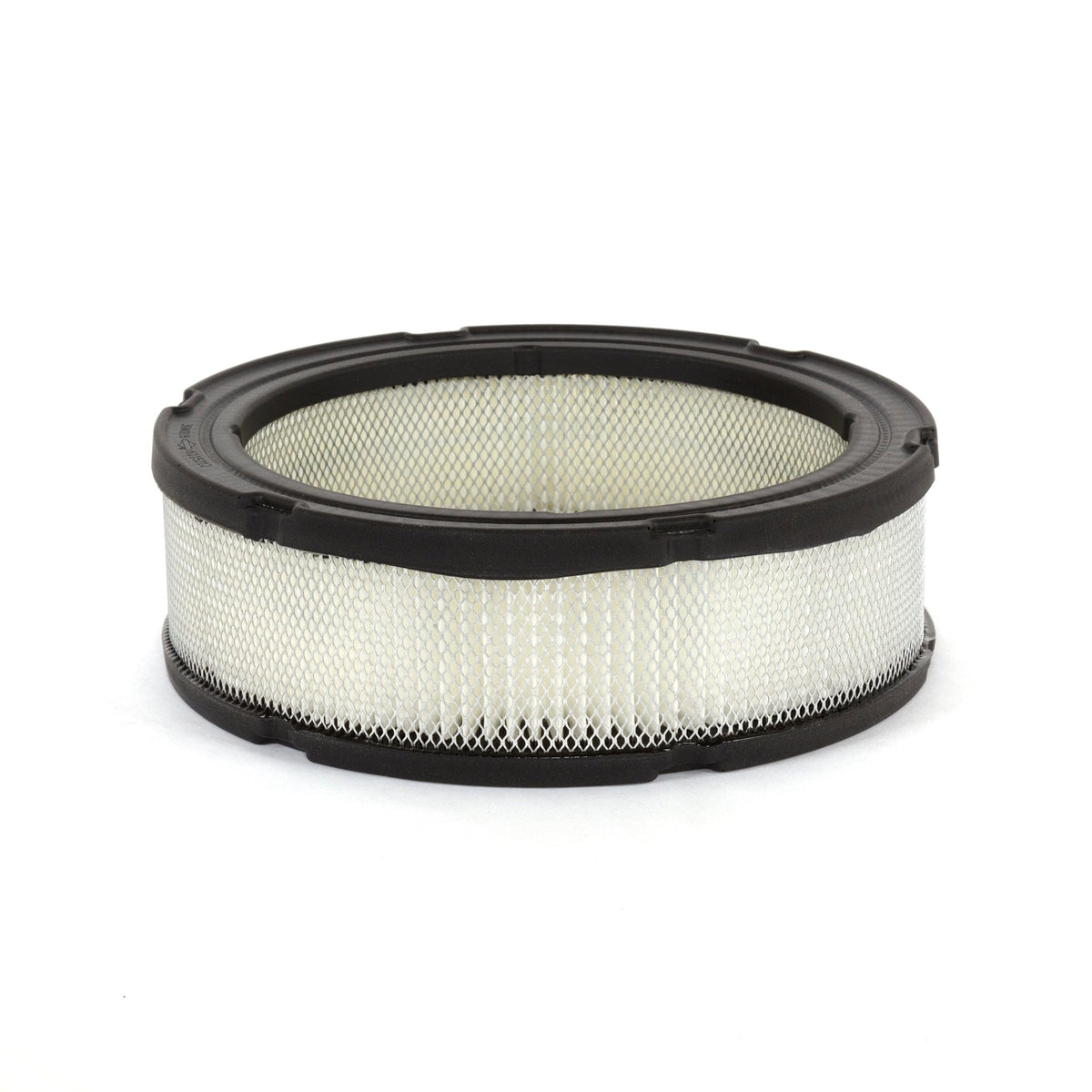 Briggs & Stratton vista frontal del filtro 394018S, protección eficaz