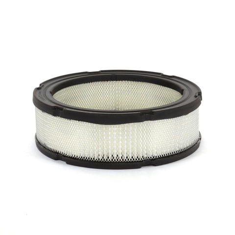Briggs & Stratton vista frontal del filtro 394018S, protección eficaz