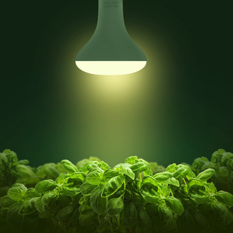 Briignite detalle del difusor y acabado que mejora distribución de luz