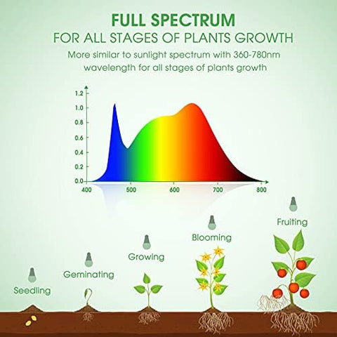 Briignite iluminando una maceta con lechuga para cultivo interior eficiente