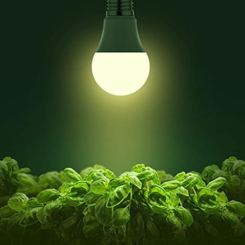 Briignite luz 4000K en ambiente hogareño que conserva colores naturales