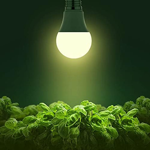 Briignite luz 4000K en ambiente hogareño que conserva colores naturales