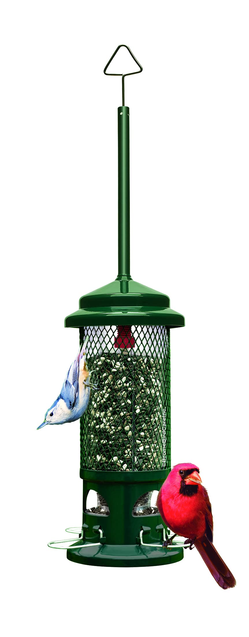 Brome comedero antivívoras vista frontal verde jardín, protege la semilla