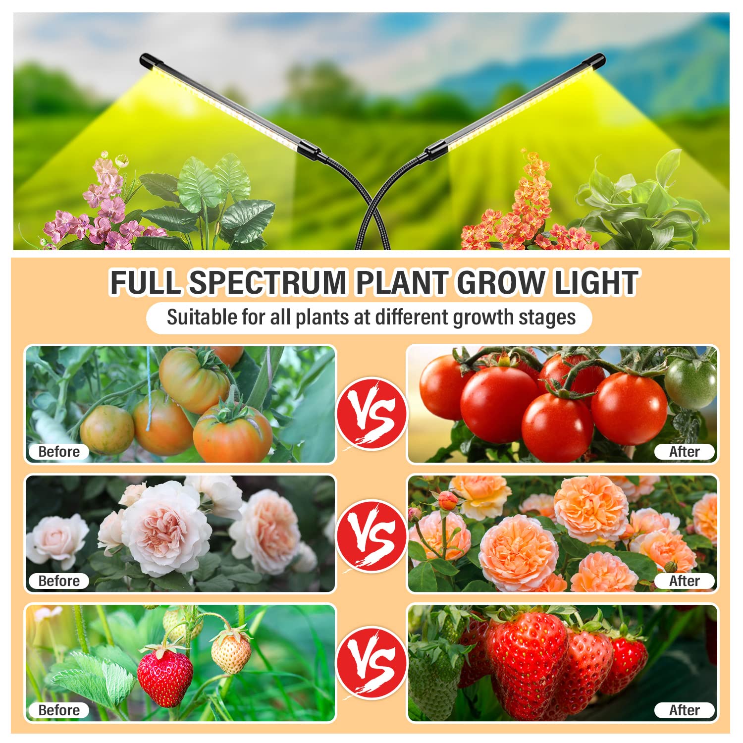 bseah en uso sobre escritorio iluminando una planta y mejorando crecimiento