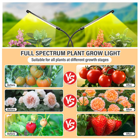 bseah en uso sobre escritorio iluminando una planta y mejorando crecimiento