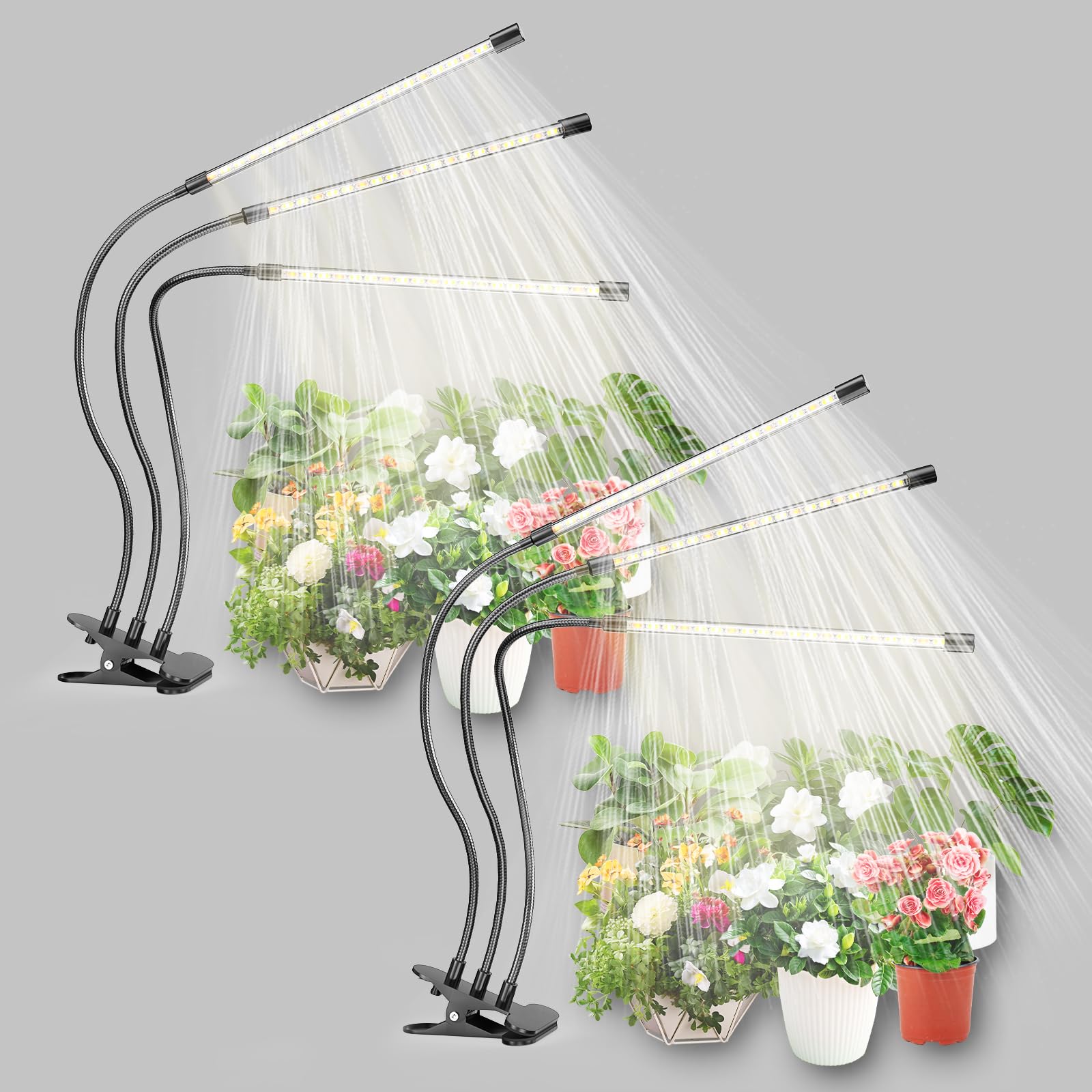 bseah vista frontal del pack mostrando diseño y funciones para cultivar plantas