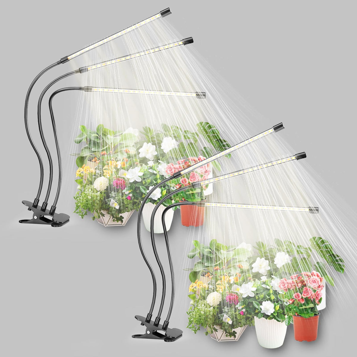 bseah vista frontal del pack mostrando diseño y funciones para cultivar plantas