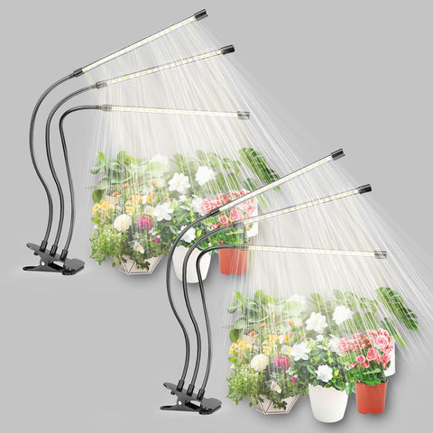 bseah vista frontal del pack mostrando diseño y funciones para cultivar plantas