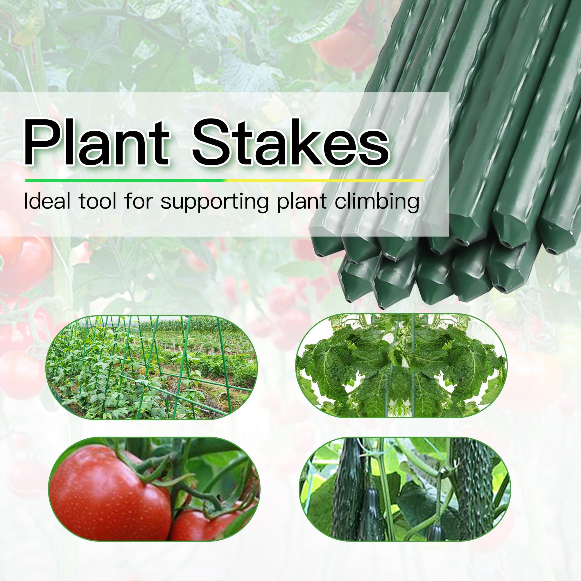 BSMOULFA estaca sosteniendo planta de tomate mostrando soporte estable