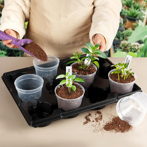 BTPLASTIK comparación de tamaño 4 pulgadas, ideal para trasplantes