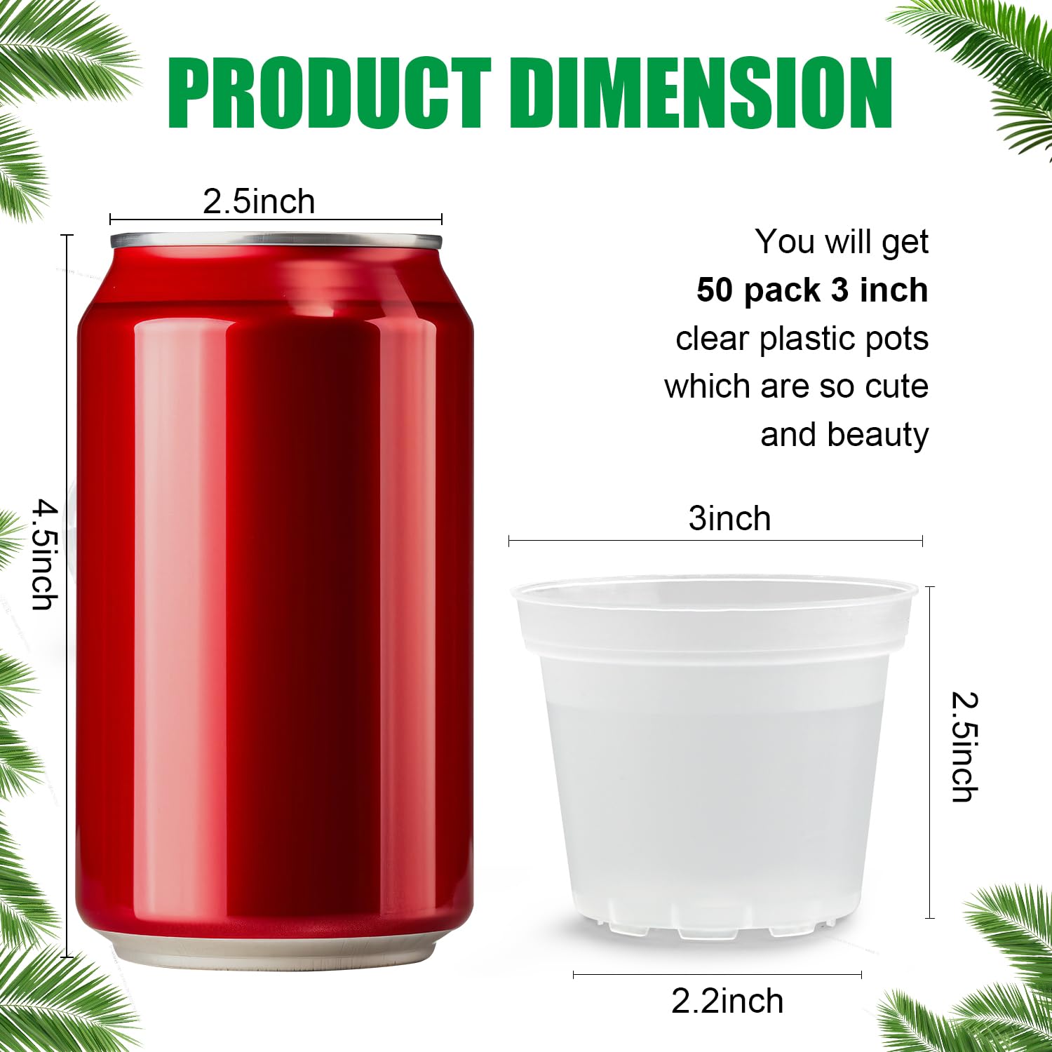 BTPLASTIK primer plano transparente mostrando raíces y control de humedad fácilmente