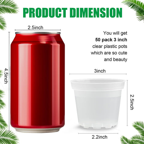BTPLASTIK primer plano transparente mostrando raíces y control de humedad fácilmente