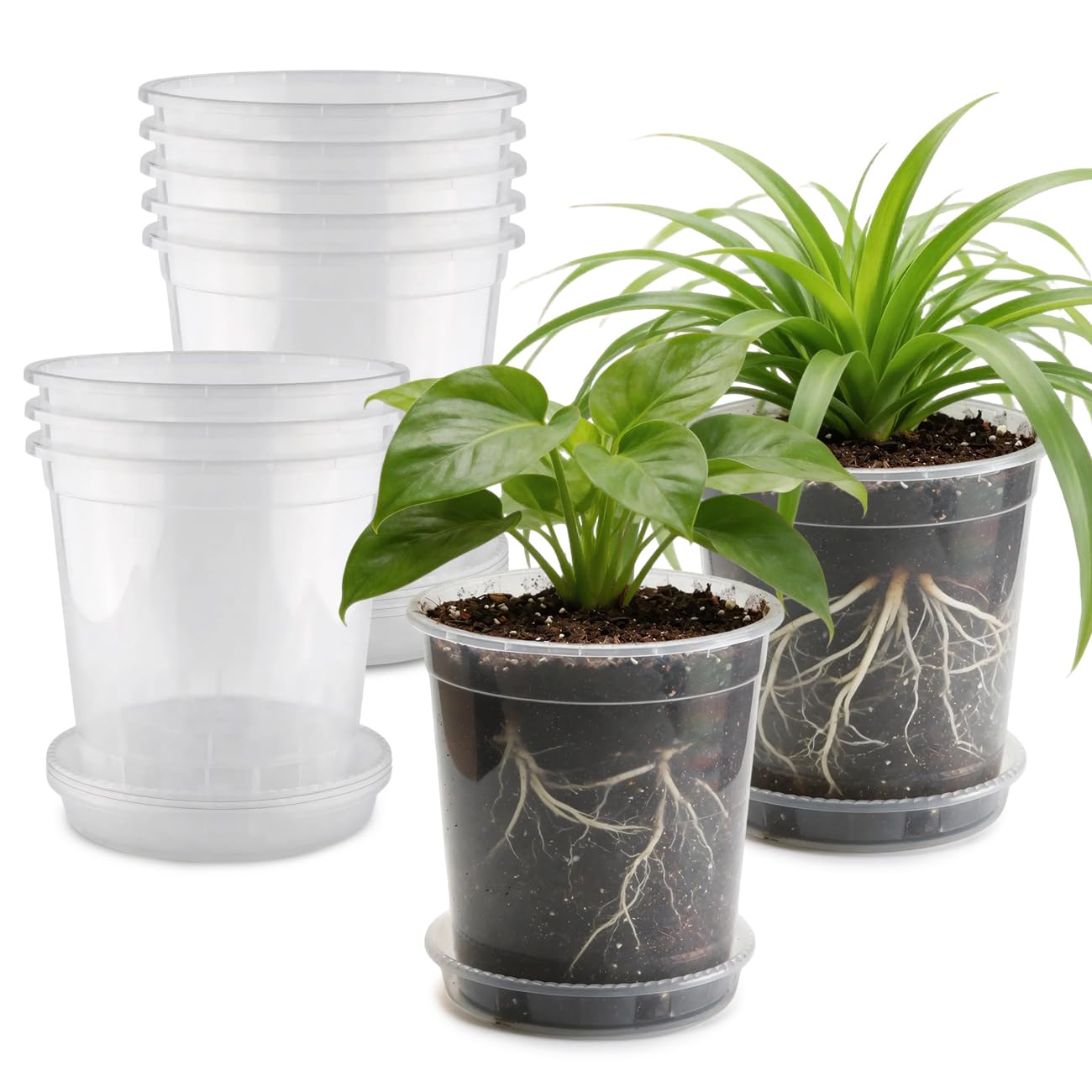BTPLASTIK pack frontal mostrando las 10 macetas transparentes y beneficio de visibilidad