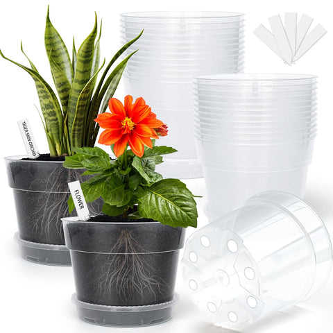 BTPLASTIK maceta frontal 6 pulgadas vista completa y compacta