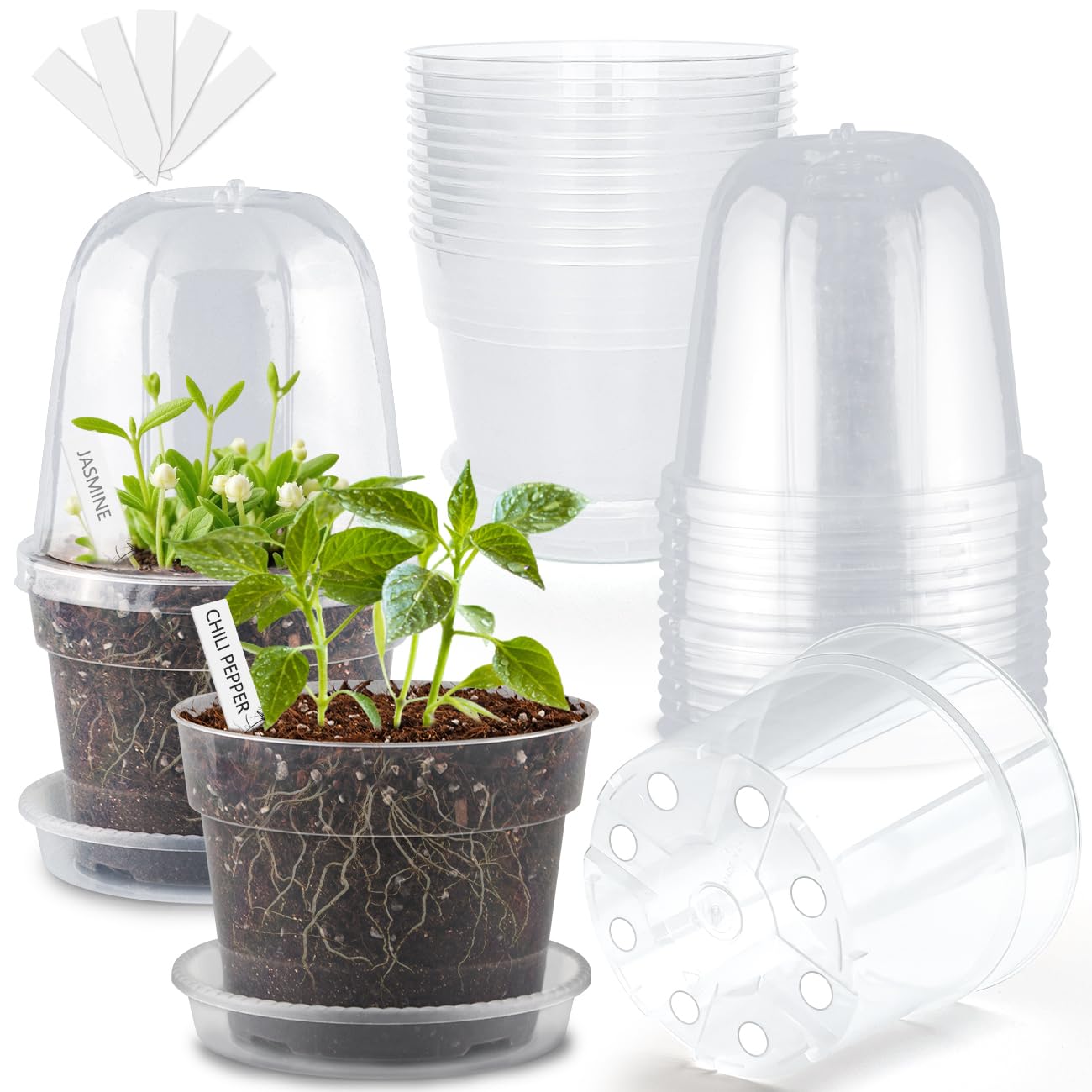 BTPLASTIK maceta frontal pack 15 mostrando transparencia y utilidad