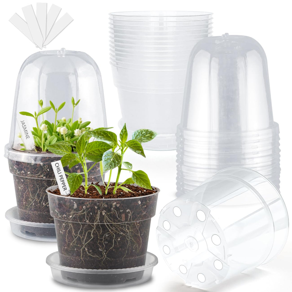 BTPLASTIK maceta frontal pack 15 mostrando transparencia y utilidad