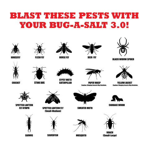 BUG-A-SALT acabado metálico texturizado que aporta durabilidad y agarre