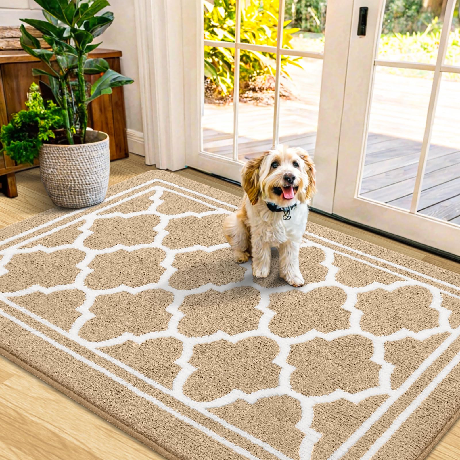 Buganda felpudo frontal 48x32 beige mostrando diseño y beneficio de protección