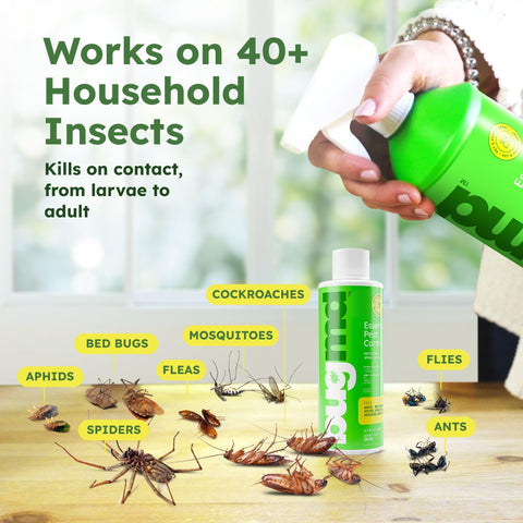 BugMD en uso con pulverizador en cocina protegiendo zonas clave