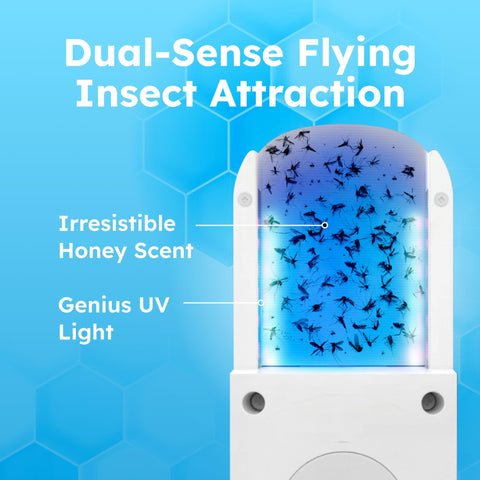 BugMD detalle de la luz UV-A azul que atrae moscas y polillas, eficiencia energética