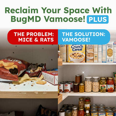 BugMD etiqueta con instrucciones claras para uso seguro y eficaz