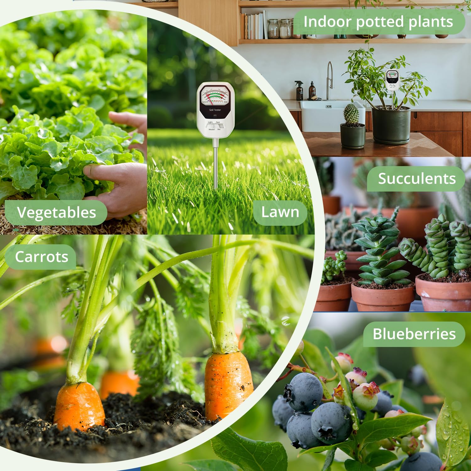Buladeke selector de modos pH humedad fertilidad luz para decisiones rápidas