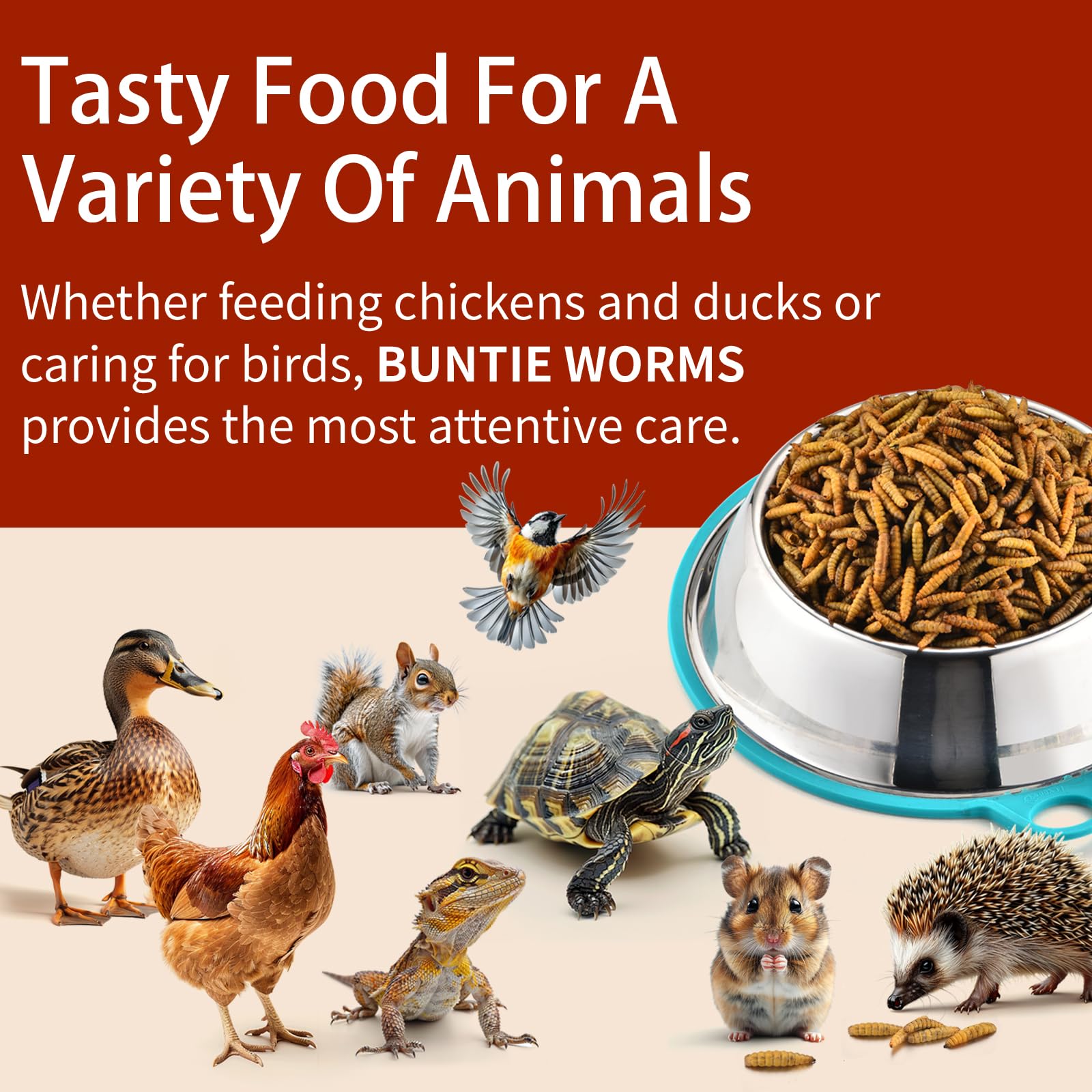 BUNTIE WORMS uso en diferentes mascotas mostrando versatilidad nutricional