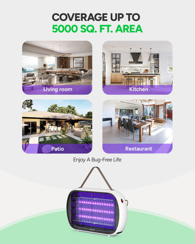 Buzbug unidad colocada en cocina interior, control de moscas sin químicos