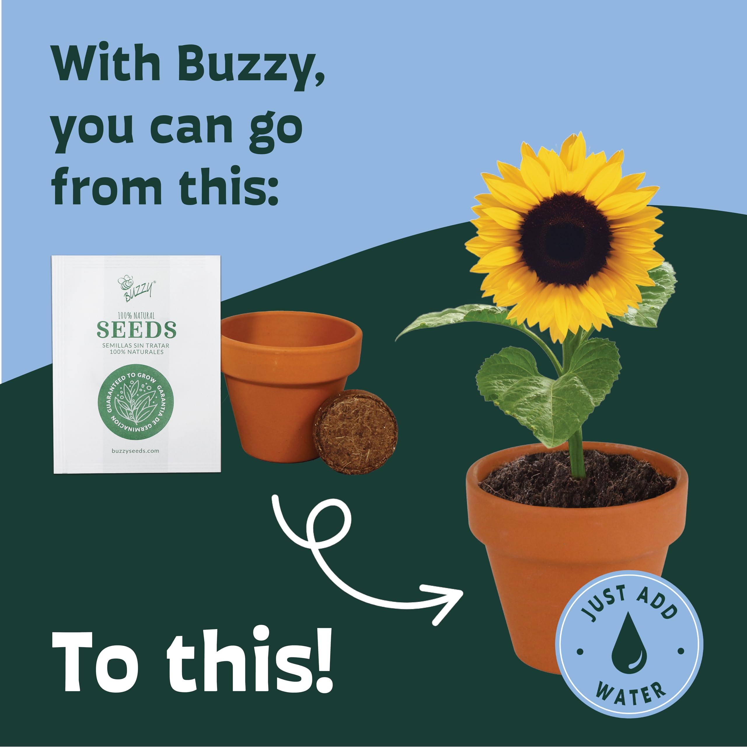 BUZZY maceta en mano para mostrar escala y portabilidad del kit